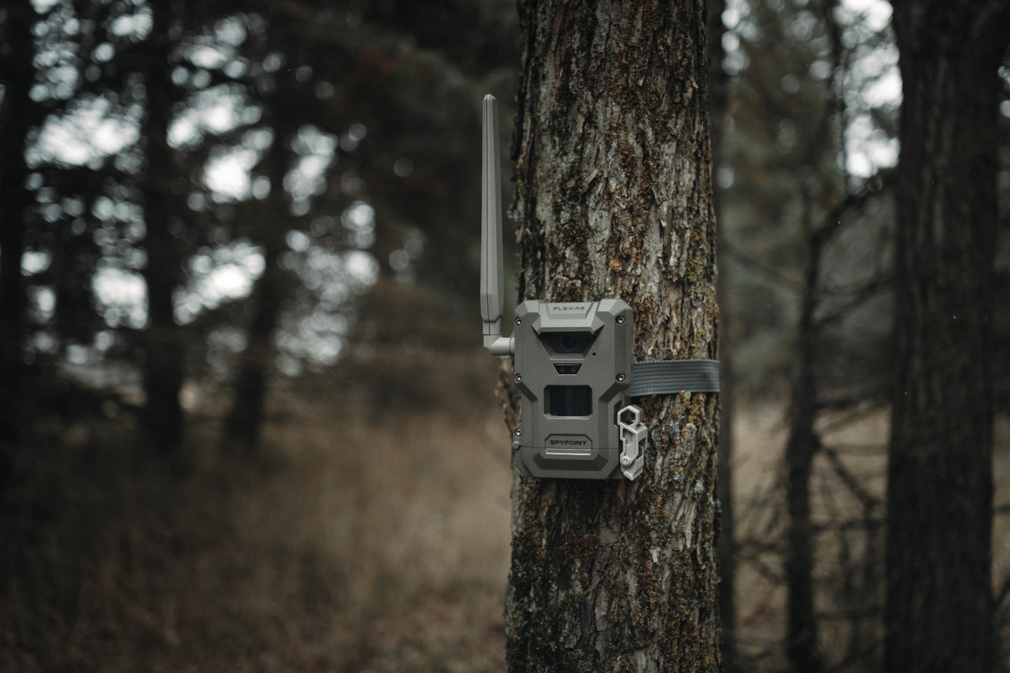 SPYPOINT FLEX-M2 Cellular Trail Camera Twin Pack