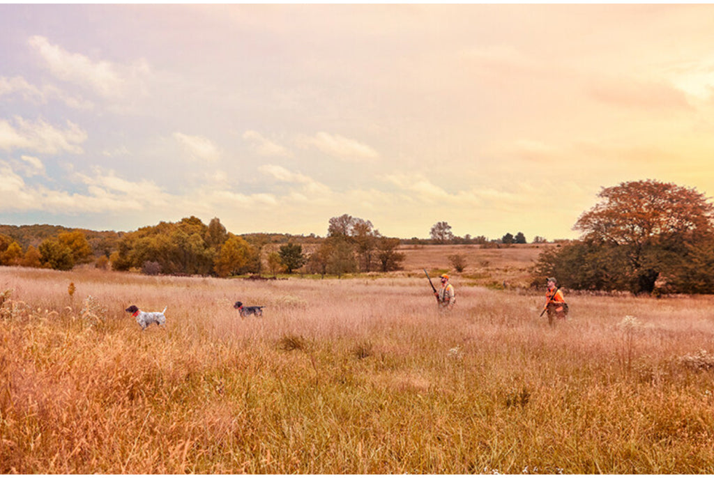 Garmin Alpha 10K Dog Tracking System