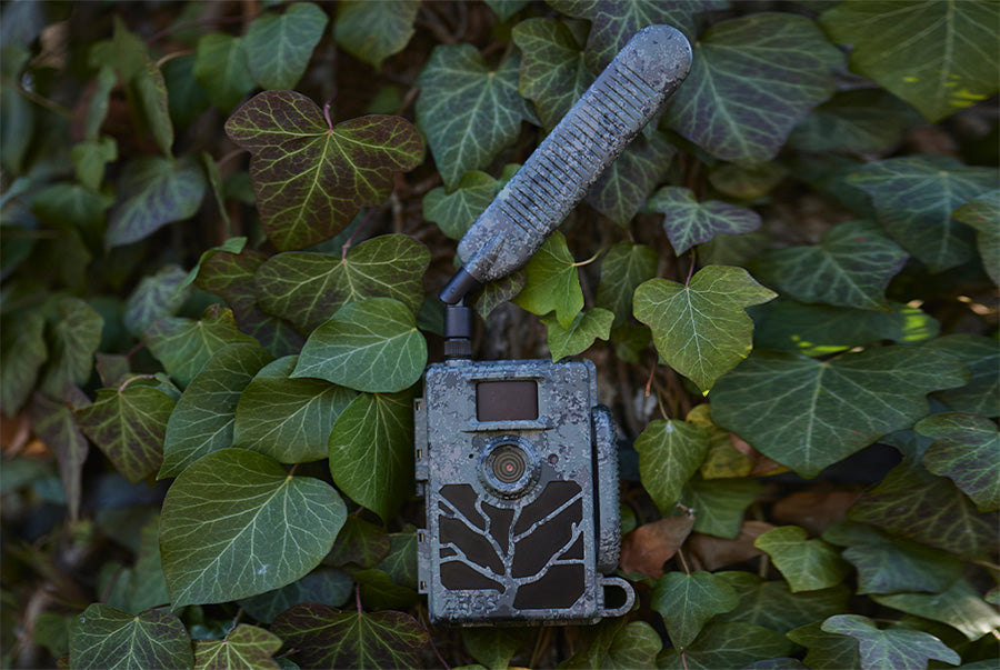Zeiss Secacam 5 Cellular Wildlife Camera | Scott Country International