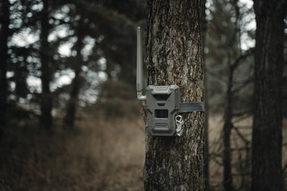 SPYPOINT FLEX-M2 Cellular Trail Camera