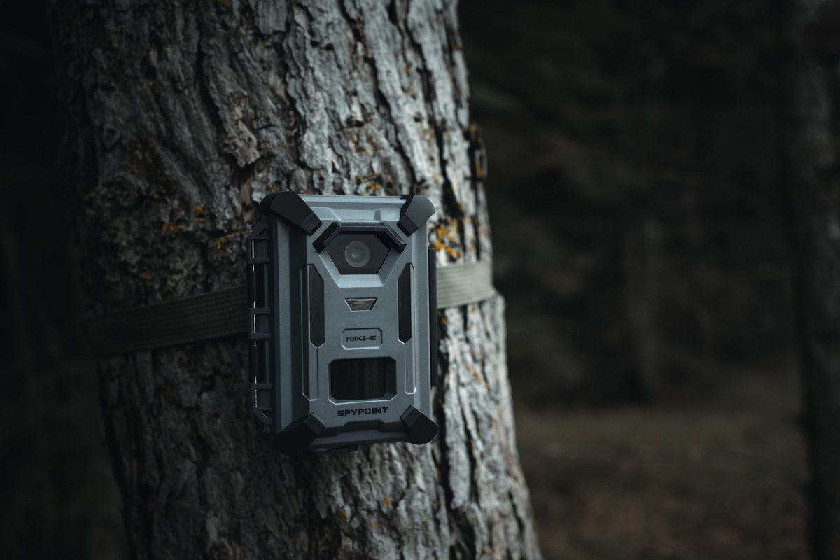 SPYPOINT FORCE-4K Trail Camera