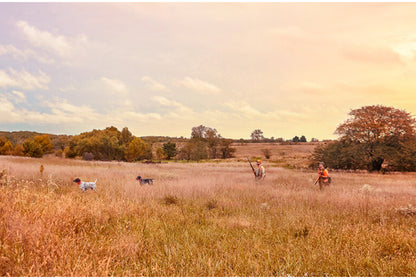 Garmin Alpha 10K Dog Tracking System