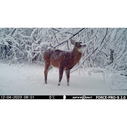 SPYPOINT FORCE-PRO-S 2.0 Solar Wildlife Camera