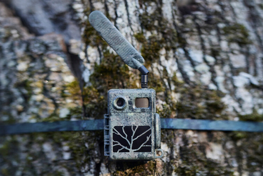 Cortis ラキドロ ジェームス James トレカ 2点セット 公式 SECACAM 7 Trail Camera – Full HD Wildlife Surveillance with No