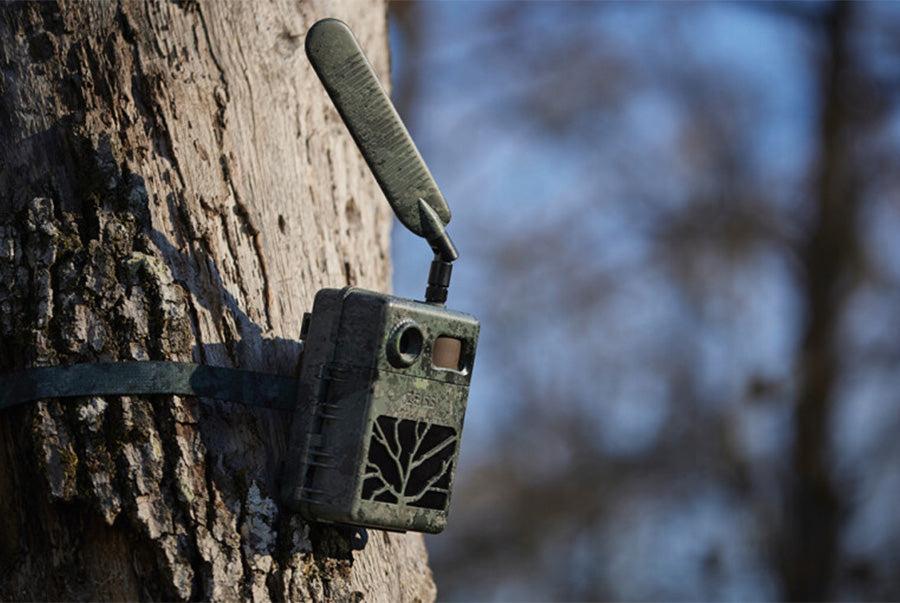 SECACAM 7 Trail Camera – Full HD Wildlife Surveillance with No-Glow IR ...