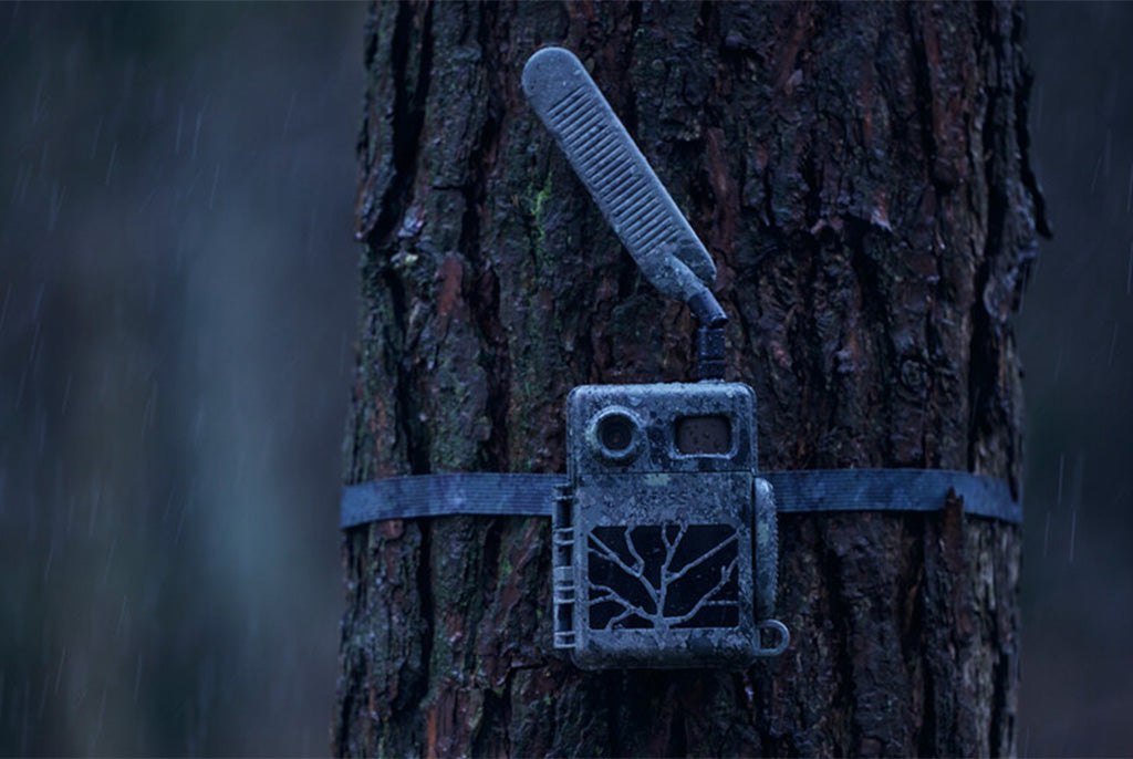 Zeiss Secacam 7 Cellular Wildlife Camera
