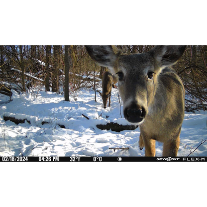 SPYPOINT FLEX-M Cellular Wildlife Camera Twin Pack