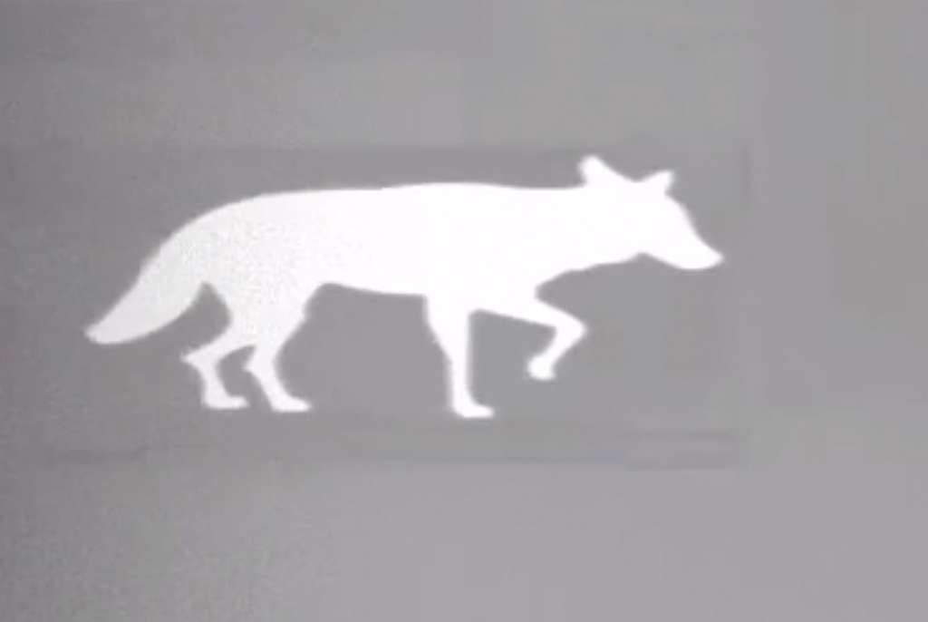 Thermbright Fox/Coyote Passive Thermal Imaging Target