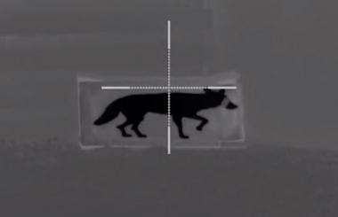 Thermbright Fox/Coyote Passive Thermal Imaging Target