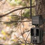 Spypoint CELL-LINK Wildlife Camera Add On